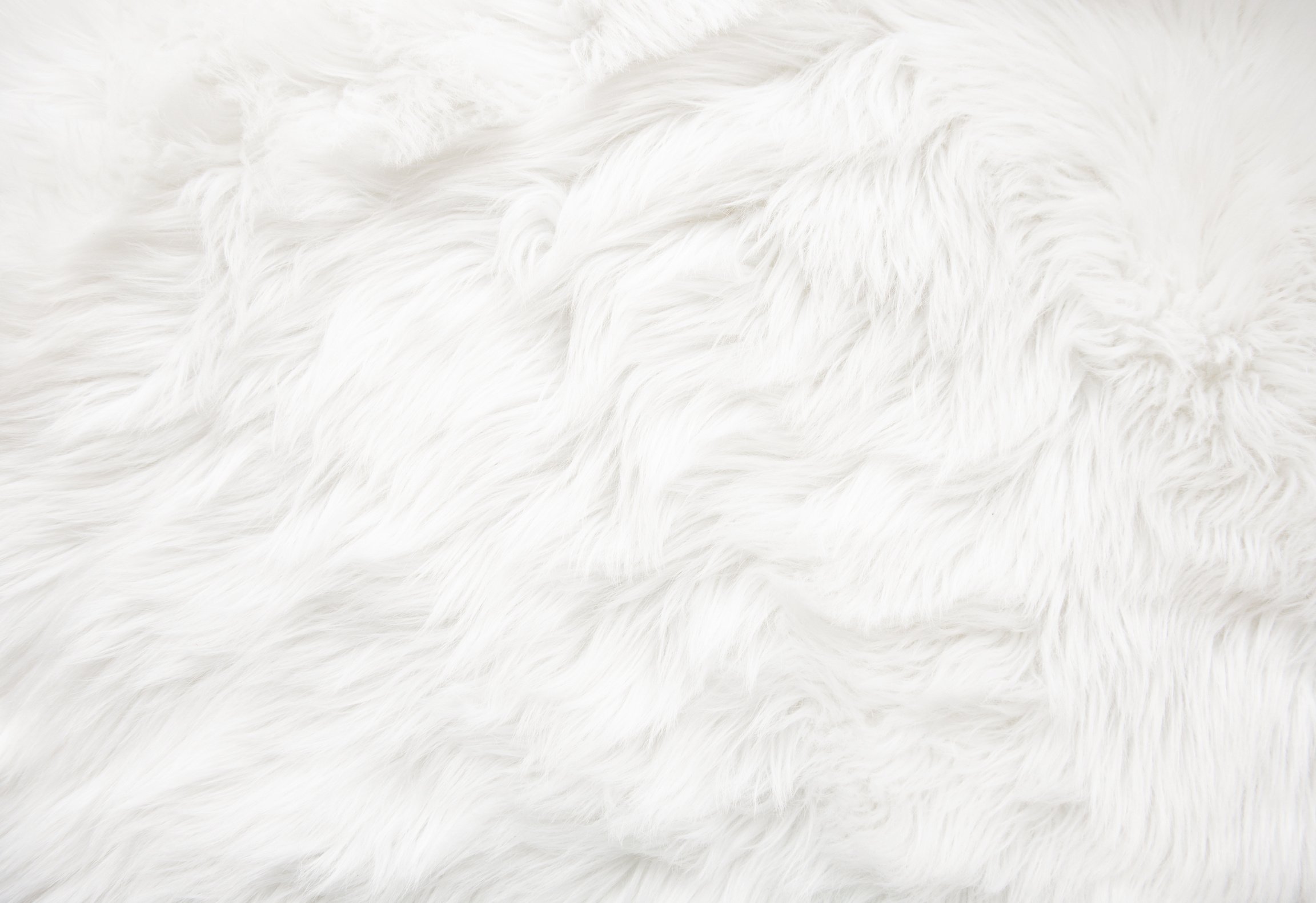 White fur texture